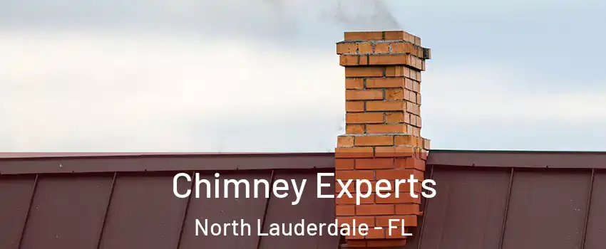 Chimney Experts North Lauderdale - FL